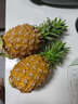 译优农正宗海南金钻凤梨新鲜热带水果当季香水金菠萝手撕小菠萝金凤梨 净重4.5-5斤【实惠装】海南直发 实拍图