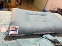 艾薇决明子磁石硬枕头枕芯护颈椎助睡眠 一只装 水绿 48*74cm 实拍图