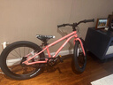 Nabiis那贝斯儿童自行车6-10-12岁超轻铝合金青少年学生单车20寸高配粉 实拍图