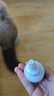 芸灵猫咪眼药水宠物滴眼液消炎洗眼液狗狗泪痕眼屎流泪发红眼清洁 实拍图