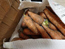 京喜加新鲜胡萝卜当季农家自种萝卜脆爽多汁水果蔬菜 新鲜胡萝卜 5斤 带箱 100g起/支 实拍图