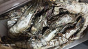 京鲜港 黑虎虾大虾净重3斤 24-30只/盒 生鲜特大号源头直发送礼家庭聚餐 实拍图