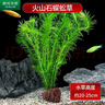 疯狂水草（FKSC）真水草鱼缸造景套餐净化水质懒人鱼缸水草植物直接入缸蜈蚣草 蜈蚣草【火山石底座】 实拍图