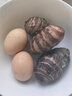 初土记有机土鸡蛋2.5斤纯粮散养 新鲜鸡蛋 30枚土鸡蛋礼盒 原产地直发 实拍图