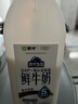 每日鲜语蒙牛现代牧场鲜牛奶1500ml巴氏杀菌桶装鲜牛奶 实拍图