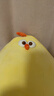 名创优品（MINISO）dundun鸡毛绒公仔墩墩鸡玩偶抱枕毛绒玩具生日礼物女 加大号42cm 实拍图