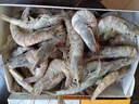 京东超市 海外直采 泰国活冻白虾/女王虾400g(40/50规格)16-20只/盒 火锅 实拍图