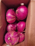 山东特产水果扁洋葱甜瓜口感红皮扁葱头生吃脆甜蘸酱好吃粉嫩 紫皮洋葱大果带箱 4斤 精选 实拍图