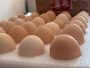 京鲜生【每日鲜蛋】无抗谷物鲜鸡蛋15枚/盒 1.5斤 源头直发 实拍图