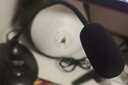声丽 SM008麦克风电脑笔记本麦克风话筒 ktv录音网络K歌录歌语聊电脑麦克风话筒 声丽SM008 实拍图