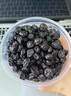 蓝莓干山长白山无添加姆同款正品独立包装大兴安岭特级 【眼睛的好营养】大果蓝莓干共750g 实拍图