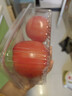 番茄约500g 实拍图
