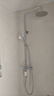 科勒（KOHLER）恒温花洒龙头淋浴花洒套装双花洒多功能大顶喷 99741T 实拍图