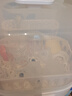 新贝奶瓶消毒烘干一体机 蒸汽消毒机消毒柜婴儿奶瓶消毒器带烘干8035 实拍图