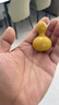 天然葫芦文玩带龙头手捻把玩小精品野生葫芦迷你家居客厅摆件 5个精品级【4-6厘米龙头葫芦】 实拍图