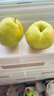 正宗山西玉露香梨子新鲜孕妇当季水果脆甜多汁3/5/10斤装整箱批发 净重5斤【特级大果】 实拍图