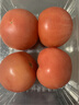 番茄约500g 实拍图