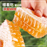 鲍记蜂巢蜜500g盒装嚼着吃纯正天然野生荆条农家营养蜂蜜送父母 实拍图