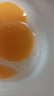 鸭蛋新鲜生鸭蛋60-70g土鸭蛋农家散养青皮白皮生鲜食品超市批发 10枚 实拍图