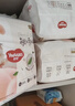 好奇（Huggies）铂金装小桃裤拉拉裤L76片(9-14kg)大号尿不湿【透爽散热】 实拍图