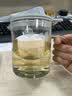 北鼎（Buydeem）玻璃泡茶壶办公室泡茶器过滤茶壶家用冲茶壶玻璃壶耐高温茶水分离 泡茶壶 500ml 实拍图