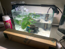 吉印刀锋s鱼缸灯led灯防水全光谱鱼缸照明灯水草灯小型超白鱼灯16cm 实拍图