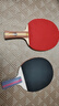 红双喜（DHS）乒乓球拍二星级训练比赛横直对拍附拍包 实拍图