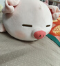 名创优品（MINISO）小猪B-BO弹力超柔趴姿毛绒公仔玩偶抱枕玩具送女友生日新年礼物女 实拍图