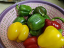 新鲜五彩灯笼椒甜椒七彩水果椒寿光蔬菜太空椒新鲜蔬菜 红黄绿三色1斤 实拍图