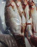 微山湖野生鲫鱼土渔民捕捞活鱼现杀净膛滋补炖汤400g/袋生鲜鱼类 中号【4-6条/400g】400g*3袋 实拍图