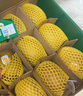 佳沛（zespri）新西兰 阳光金奇异果12粒礼盒特大果单果约122-146g 猕猴桃 水果 实拍图