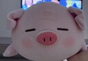 名创优品（MINISO）小猪B-BO弹力超柔趴姿毛绒公仔玩偶抱枕玩具送女友生日新年礼物女 实拍图