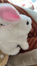 雅斯妮儿童玩具仿真动物电动宠物小兔子玩偶会动会叫3-6岁新年生日礼物 实拍图
