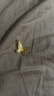 周大生黄金吊坠女足金蝴蝶首饰挂坠七夕礼物送女友1.66g 实拍图