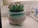 景青陶瓷多肉花盆简约冰裂清新彩红小号控型创意桌面装饰透气 YM三腿胖嘟嘟-绿粉 陶瓷 实拍图