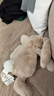 Jellycat害羞乳白色邦尼兔动物毛绒玩偶安抚玩偶娃娃新年生日礼物 害羞米色邦尼兔 Medium 实拍图