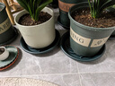 芷郁绿植盆栽托盘垫接水圆形防烂根树脂花盆底座托盘 特厚270型3个 实拍图
