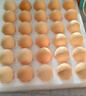京鲜生鲜鸡蛋10枚/盒 健康轻食 营养健康1斤/盒 源头直发  实拍图