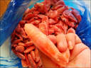 禧美海产加拿大熟冻北极甜虾1斤/袋 65-85只 (MSC认证) 海鲜水产 实拍图