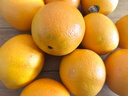 美国进口新奇士3107黑标脐橙Sunkist进口橙子甜橙单果170-210克 10个大果 实拍图