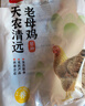 天农 清远鸡老母鸡整鸡肉 2斤 生态散养300天走地鸡 冷冻 月子炖汤 实拍图