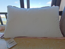 水星家纺枕头枕芯酒店枕头护颈枕头芯家用单个纯棉抗菌可水洗中枕48x74cm 实拍图