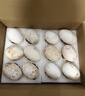 保卫蛋蛋山东鹅蛋12枚巨无霸孕妇宝宝放心吃中秋礼盒装2.64斤/盒 源头直发 实拍图