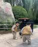 EVANGELINE双胞胎婴儿推车bebepram两座儿童户外可全躺露营婴儿车二胎婴儿车 炫耀黑 实拍图