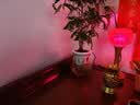 星光缘琉璃莲花供灯佛堂供具家居LED长明灯红金琥珀色中号高约23cm 实拍图