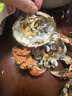 【活蟹】阳澄联合鲜活大闸蟹现货公4.0-4.3两 母3.0-3.3两 5对螃蟹年货礼盒源头直发 实拍图