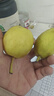 亨迅【新疆直邮】新疆库尔勒香梨子 应季时令水果生鲜 净重5斤装丨单果80-100g 实拍图