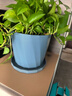 墨斗鱼花盆塑料家用轻奢高级感仿陶瓷树脂阳台多肉带托盘雅典大号混色 实拍图