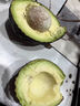 鲜青录秘鲁进口牛油果鳄梨奶油酷热带新鲜宝宝孕妇水果 净重400g【4个中果 单果100-140g 实拍图
