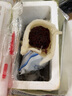 钓鱼用品特大鲜活红虫活饵活体新鲜鱼食垂钓红虫鱼饵鲤鱼 特大公虫100克鲜活到家 实拍图